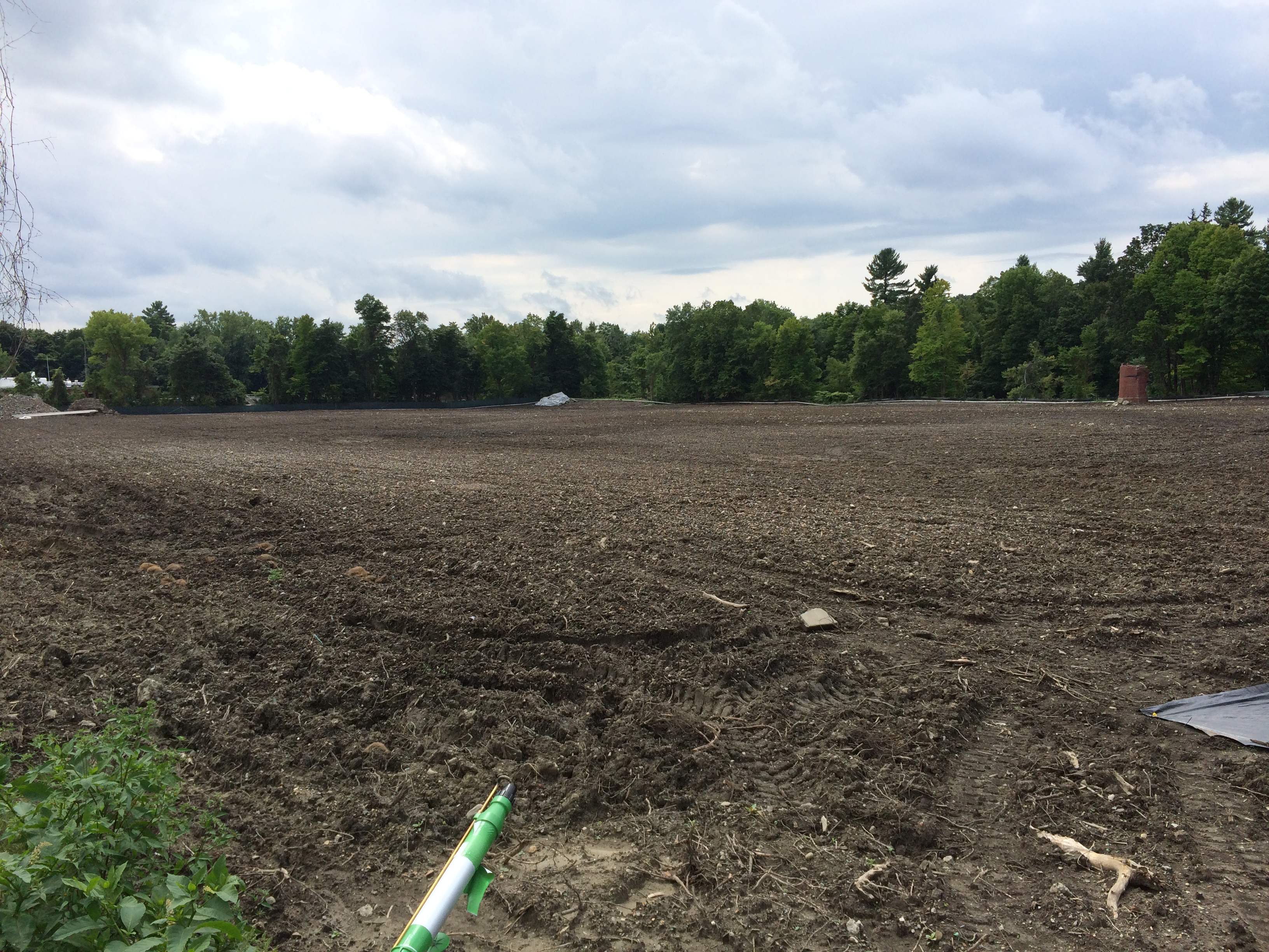 The 100 Bridge Street site as it looked in late summer after it had been cleared and readied for bioremediation.