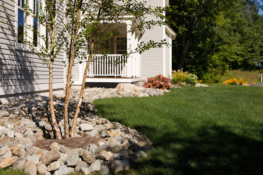 Front of house with front porch in background. Multi-stem River Birch in foreground amongst river stone bed. Photo: Michael Lavin Flower