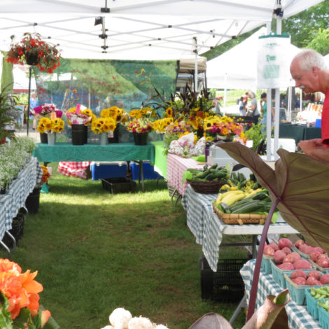 The Double Decker stand at the Great Barrington Farmers Market.