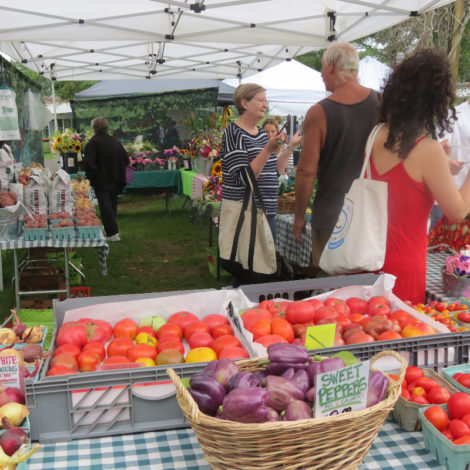 The Double Decker Farm array of tomatoes for sale at the Great Barrington Farmers Market.