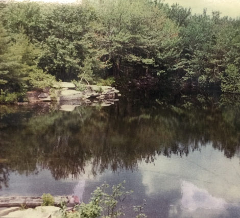 A photo of the Williams Stone quarry in 1974.