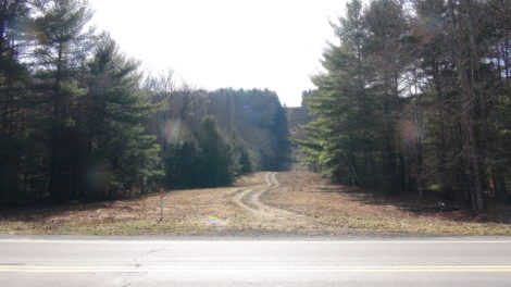 A swathe of forest cleared to make way for a natural gas pipeline.