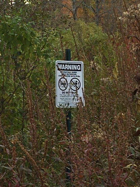 Along the Housatonic River south of Pittsfield, a warning sign advises against eating fish or wildlife from the river.