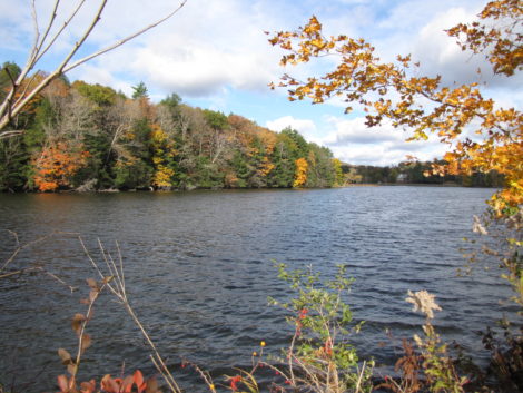 Sediment in the floor of Rising Pond in Great Barrington contains an impoundment of PCB-contaminated sediment that will have to be be removed.