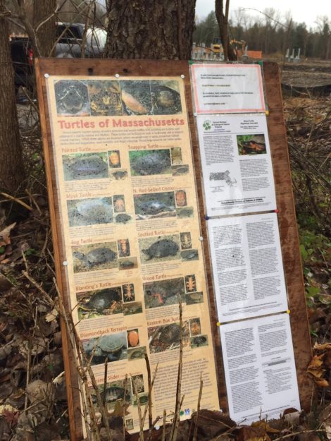 Signs with information about endangered turtles at the solar farm, a known turtle habitat. The sign is required by state law.