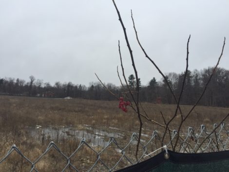 This 8-acre field, now cleared of the New England Log Homes structures, would become a residential and commercial site, under plans drafted by the CDC.