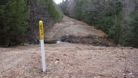 The existing Tennessee Gas Pipeline corridor that the company seeks to enlarge and extend. Photo: Heather Bellow