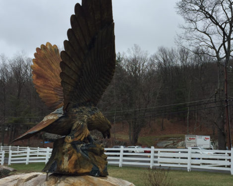 In April the Eagleton School eagle overlooked the campus. Photo: Heather Bellow