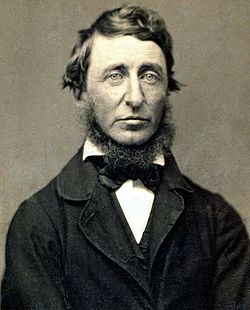 Henry David Thoreau by Benjamin D. Maxham, 1856.
