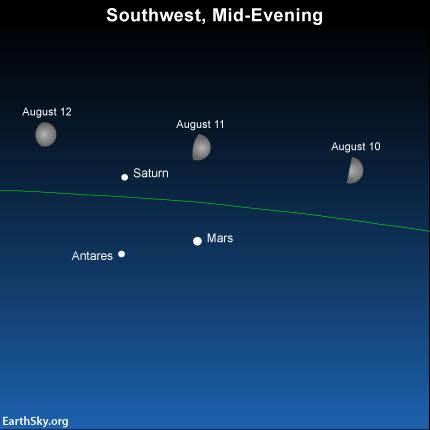 As evening falls on August 10, 11 and 12, the waxing gibbous moon will be shining near planets Mars and Saturn, and the star Antares. The green line depicts the ecliptic – the sun’s yearly path and the moon’s monthly path in front of the constellations of the Zodiac. The moon will set before the predawn hours on August 11, 12 and 13, at which time the Perseid meteors streak the nighttime most abundantly. Courtesy EarthSky.org