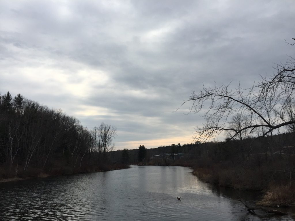 The river at Wood’s Pond in Lenoxdale last March. The river here has high levels of contamination. Photo: Heather Bellow.