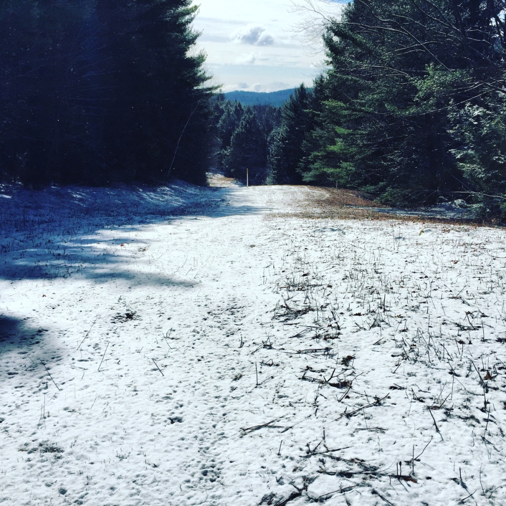 The existing corridor in Otis State Forest in Sandisfield, where two pipelines already exist, built long before the state purchased 500 acres here and placed them under constitutional protection. For this third pipeline, Tennessee Gas would have to clear this state-protected forest to expand the corridor. Photo: Heather Bellow