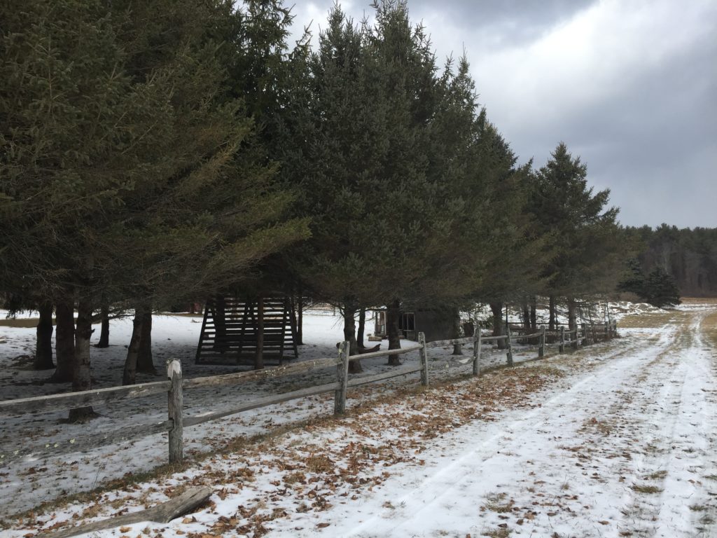 The access road would run just a few feet from the early childhood playground. Photo: Heather Bellow
