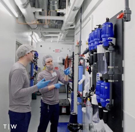 Theory Wellness medical marijuana cultivation facility in Bridgewater, Massachusetts. Photo: Courtesy of Theory Wellness