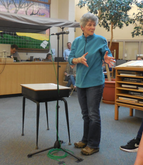 Catherine Miller pleads with the School committee for full funding of the arts. Photo: Terry Cowgill