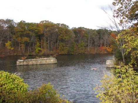 A view across Rising Pond a of the banks where GE's landfill would be situated. Photo: David Scribner
