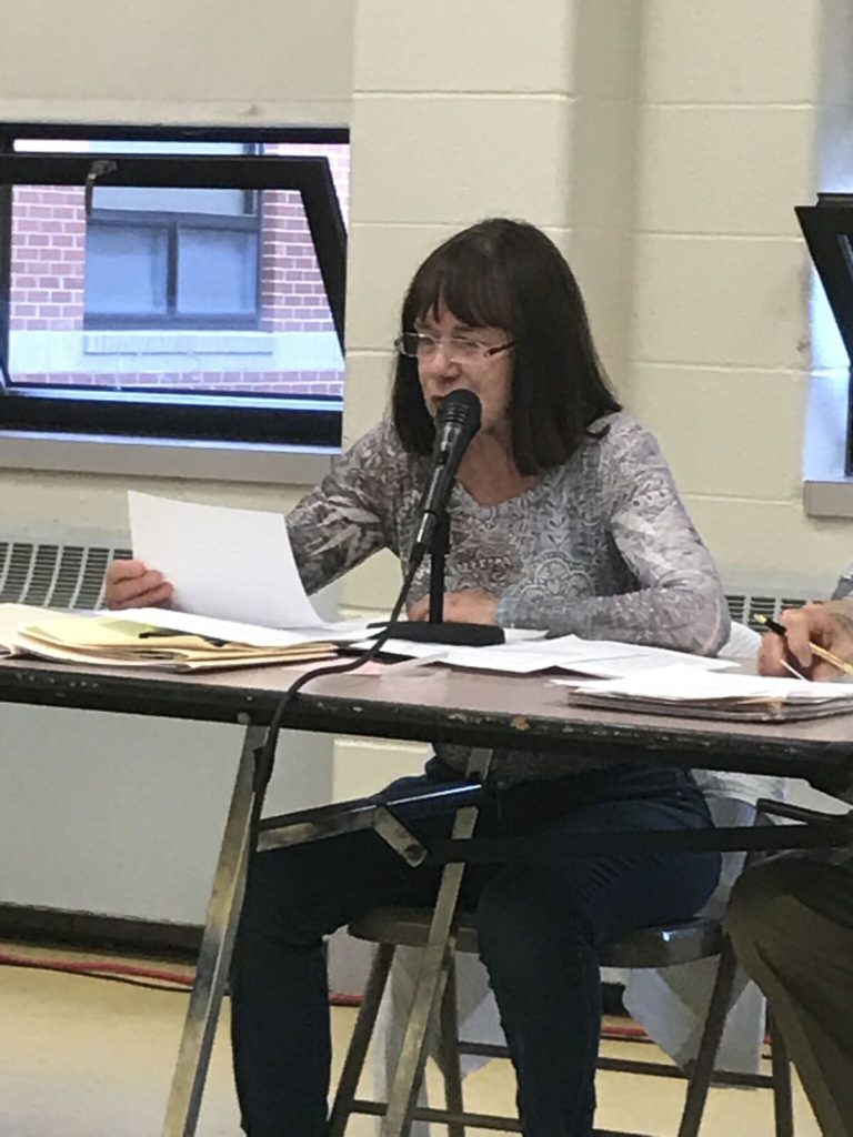 Laura Allen, who chairs Egremont's finance committee, acknowledges flaws in the new budget but stresses the need to move forward. Photo: Victor Feldman