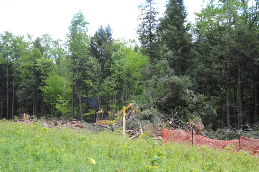 A heavy equipment operator snatches a tree that was standing in the easement and hauls it away. Photo: Terry Cowgill