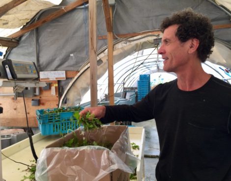 Equinox Farm owner Ted Dobson weighs greens headed for Kripalu Center for Yoga & Health in Stockbridge.