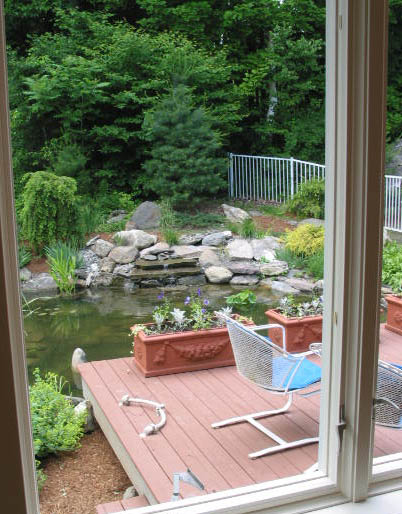 This view of the back deck and pond is a wonderful feature that came with the house. - Photo Credit: Erica Fay