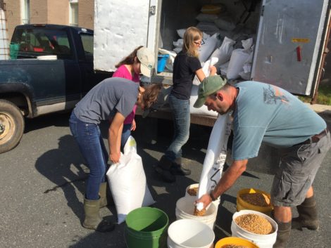 1 Tom and his team fill up feed buckets for the morning chores