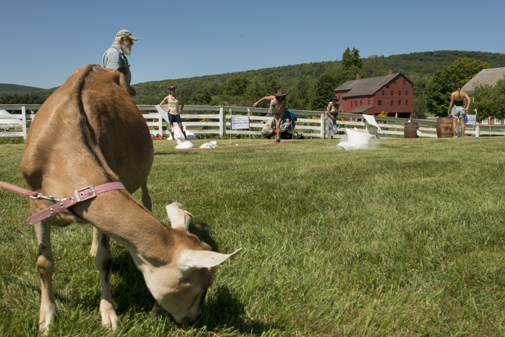 Bits & Bytes Farmer Olympics; Lyme disease talk; Berkshire Crafts Fair