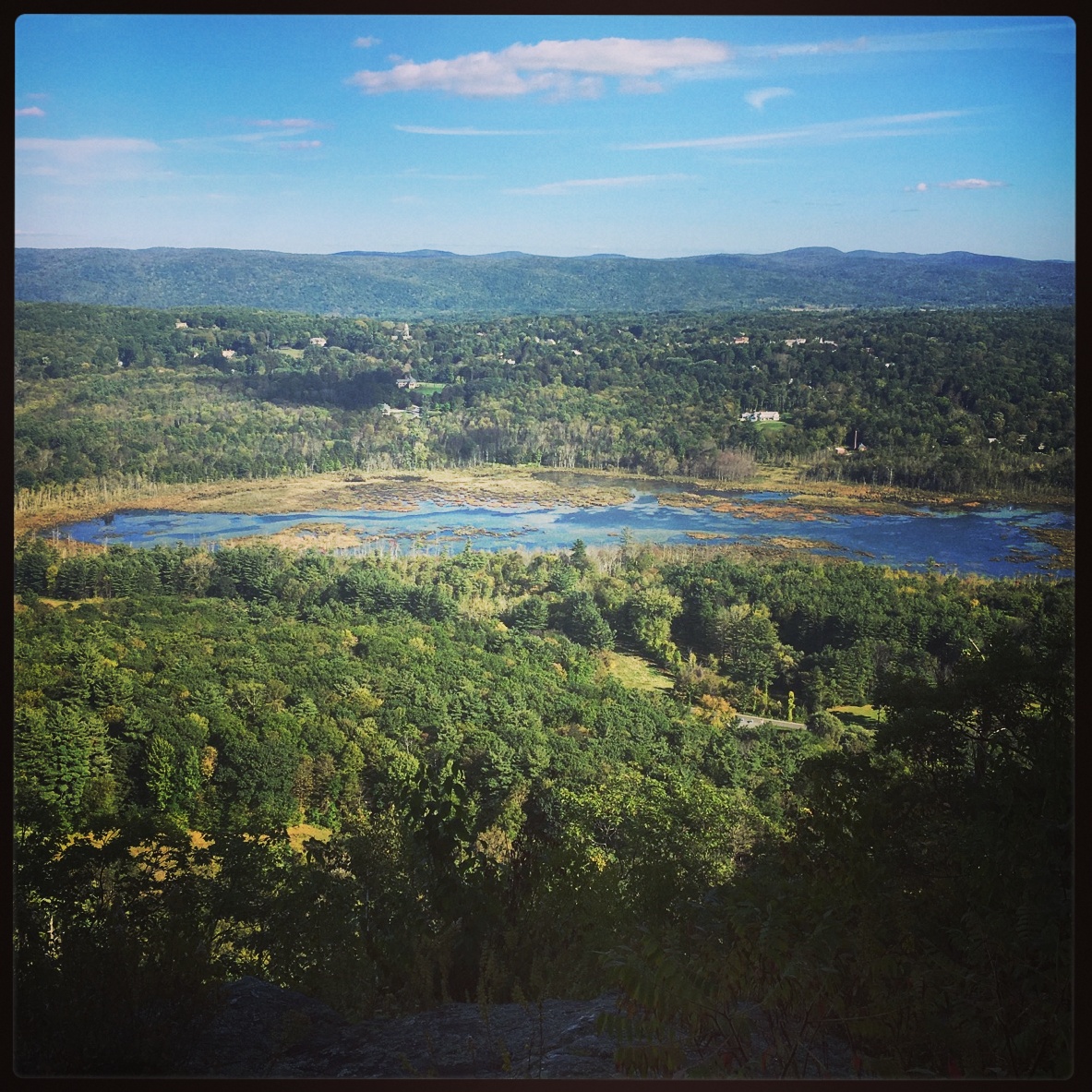 Business Briefs BNRC conserves Parsons Marsh; new manager for Eat on North; BMM gains Business Briefs BNRC conserves Parsons Marsh; new manager for Eat on North; BMM gains