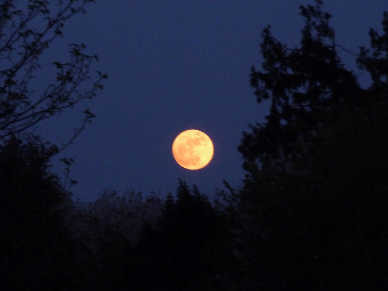 BOB GRAY Moonstruck The Berkshire Edge