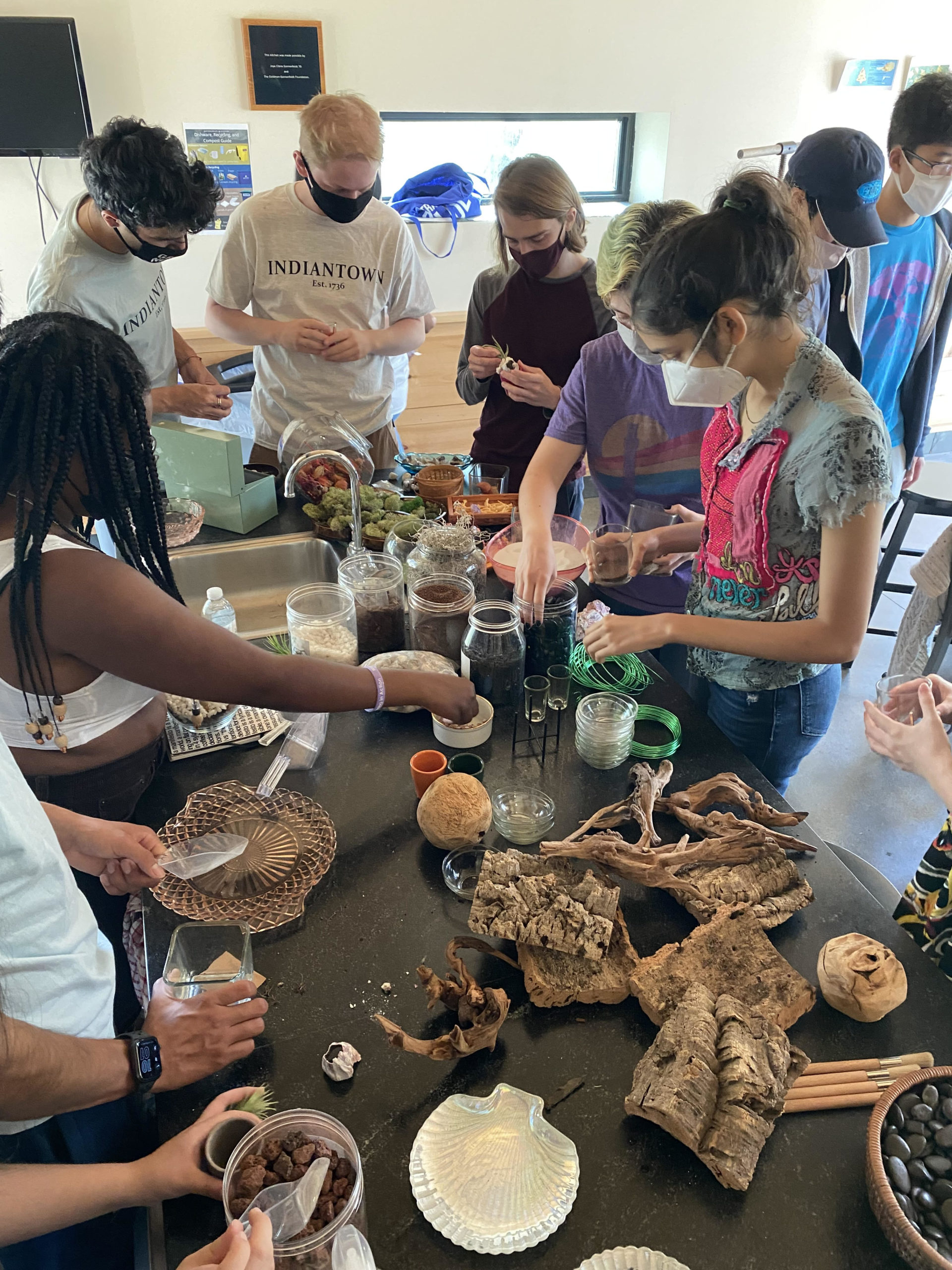 Terrarium Making Event The Berkshire Edge