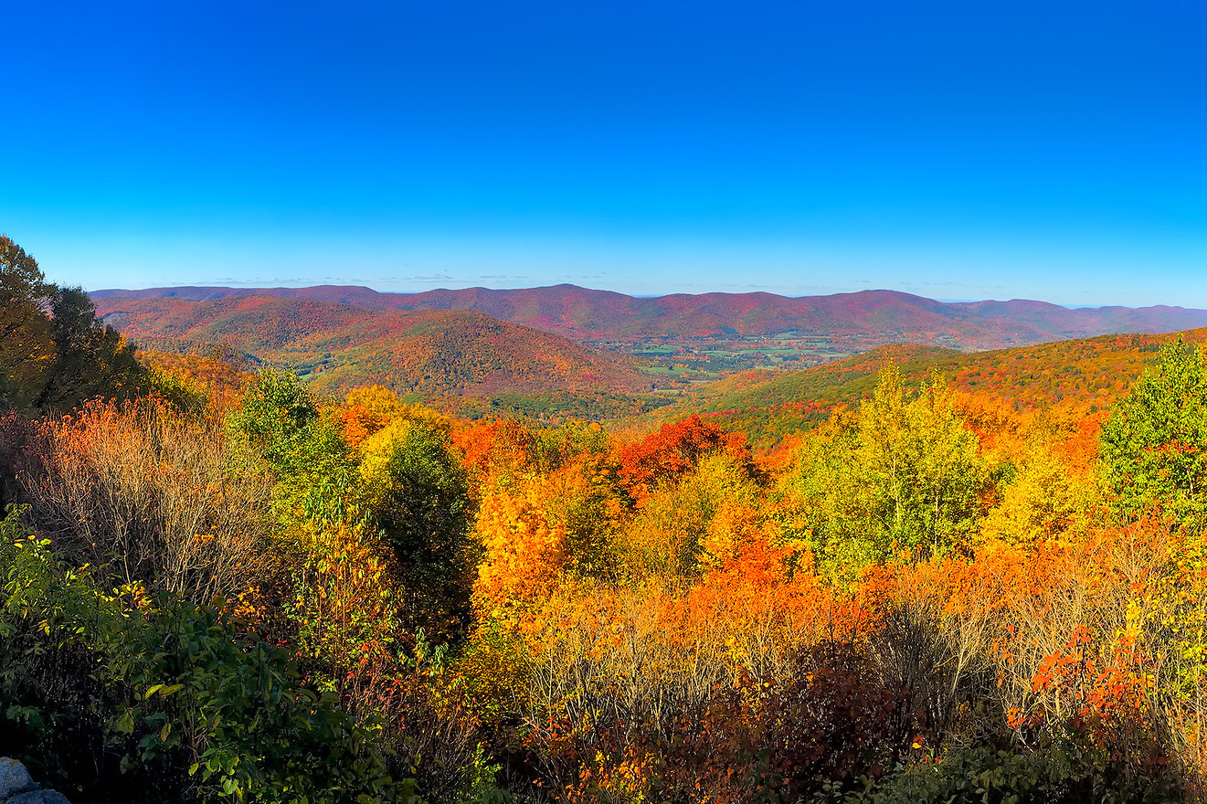 I PUBLIUS: Hay algo en ese aire de Berkshire