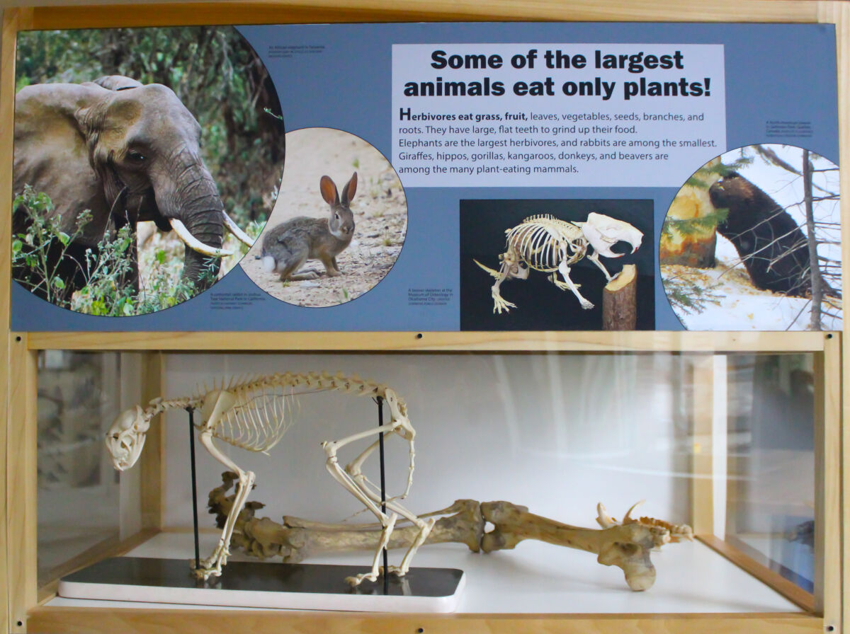 BUSINESS BRIEFS John S. Watson Fundraising Goal; “Roots to Renewal