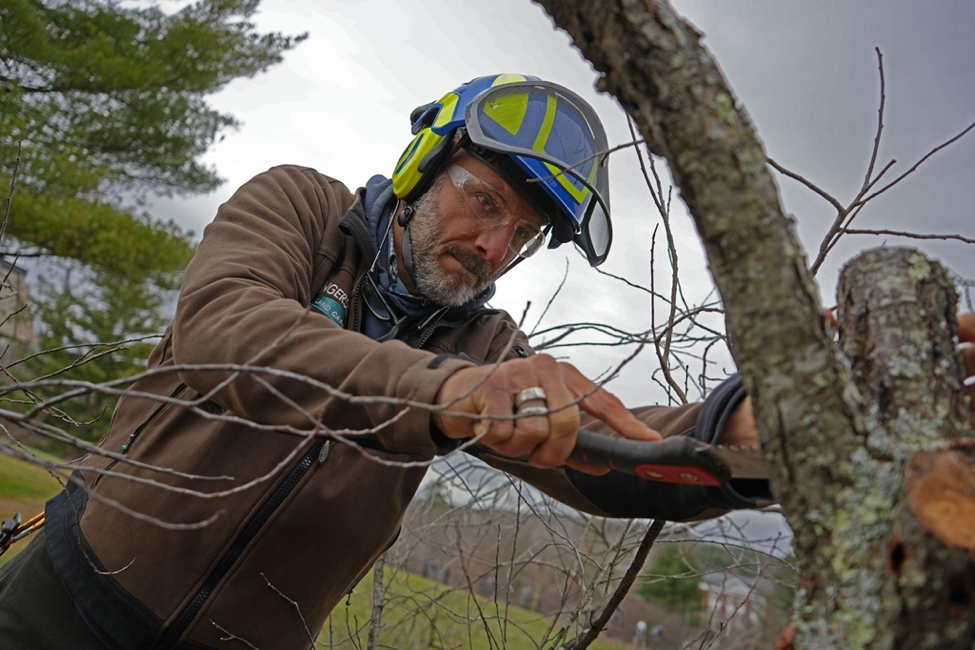 Tom Ingersoll volunteering at Arborist Day 2 The Berkshire Edge