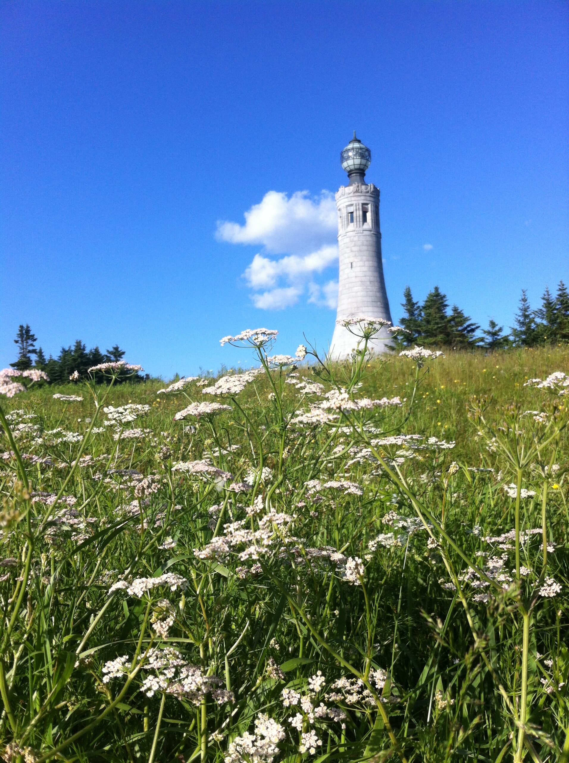 Mount Greylock in the summer credit Michelle Murphy The Berkshire Edge